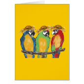 3 Parrots (Front)