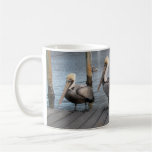 3 Pelicans in a row Coffee Mug