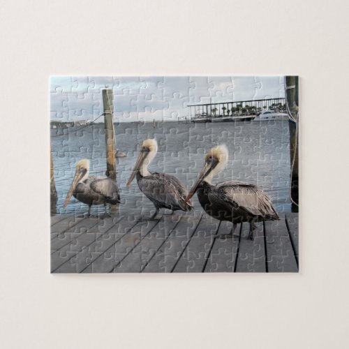 3 Pelicans in a row Jigsaw Puzzle