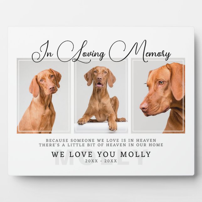 3 Photo Pet Loss Gift for Dog & Cat - Pet Memorial Plaque (Front)