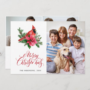 3 PHOTO Poinsettia Red Cardinal Christmas Greeting Holiday Card