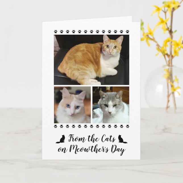 3 Photo Script From Cat Dog Pet 5x7 Mother's Day Card (Yellow Flower)