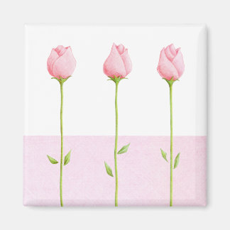 3 Pink Rosebuds Magnet