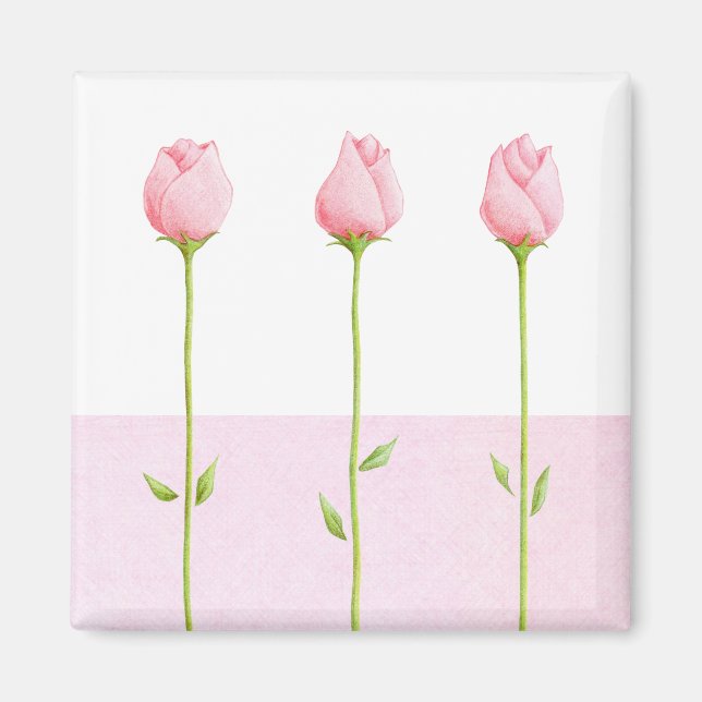 3 Pink Rosebuds Magnet (Front)
