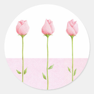 3 Pink Rosebuds Sticker