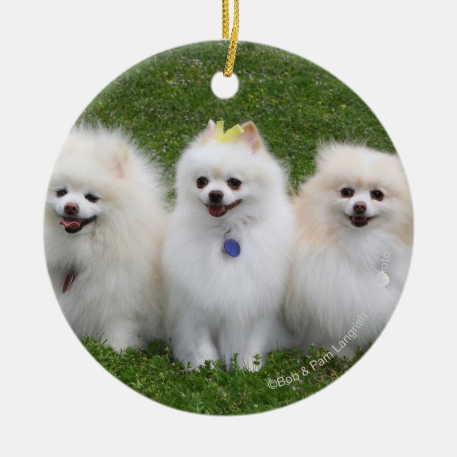 3 Pomeranians Sitting Ceramic Ornament (Front)