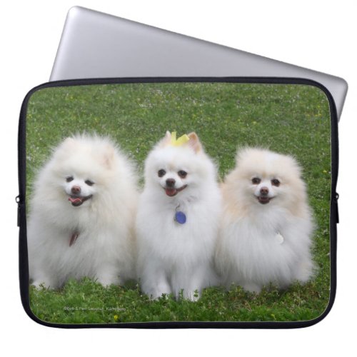 3 Pomeranians Sitting Laptop Sleeve