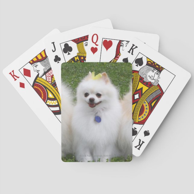 3 Pomeranians Sitting Poker Cards (Back)