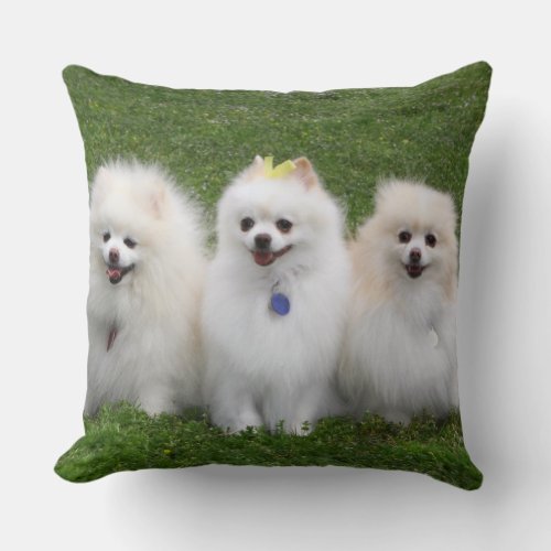 3 Pomeranians Sitting Throw Pillow