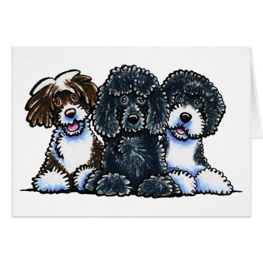3 Portuguese Water Dogs (Front Horizontal)