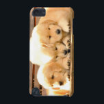 3 Puppies iPod Touch Case<br><div class="desc">You are here > Zazzle > ShopStillImages.com > Animals Take a moment to check out other great products with animals from ShopStillImages.com . Click here to browse all of the products from ShopStillImages.com . Back to Zazzle Homepage Take a moment to check out the most popular products from ShopStillImages.com ....</div>