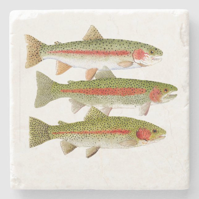 3 Rainbow Trout Stone Coaster (Front)