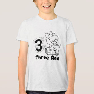 3 Rex Dinosaur 3rd Birthday Boy Girl  Tri-Blend Shirt