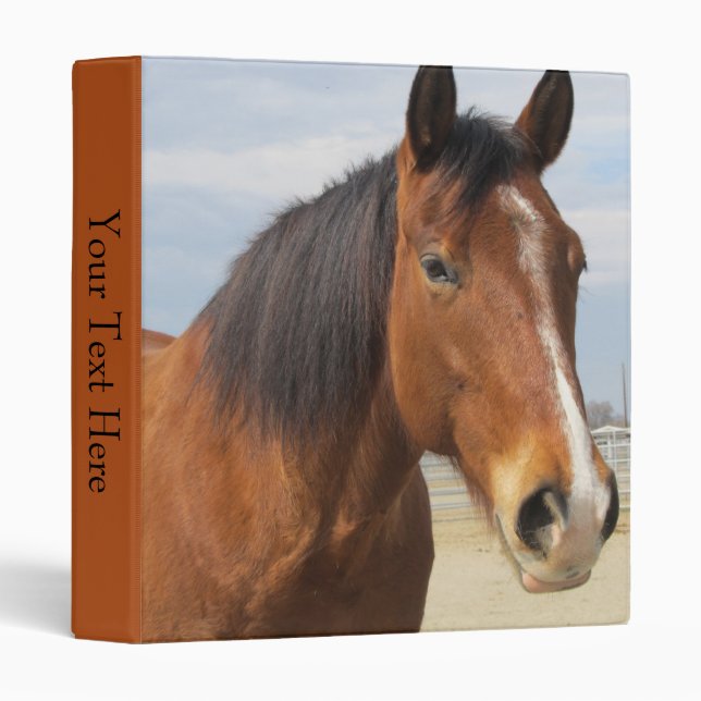 3 Ring Binder--Brown Horse Side Binder (Front/Spine)
