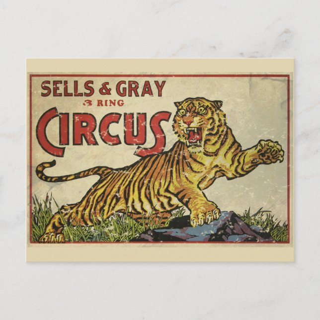 3 Ring Circus - circa 1930 distressed Postcard (Front)