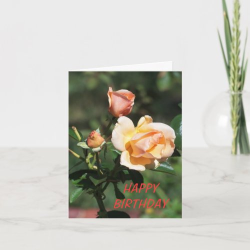 3 Roses Beautiful Birthday Card
