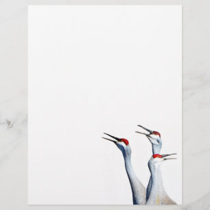 3 Sandhill Cranes Photo Letterhead Paper