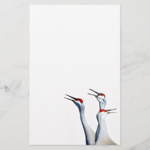 3 Sandhill Cranes Photo Stationery Paper