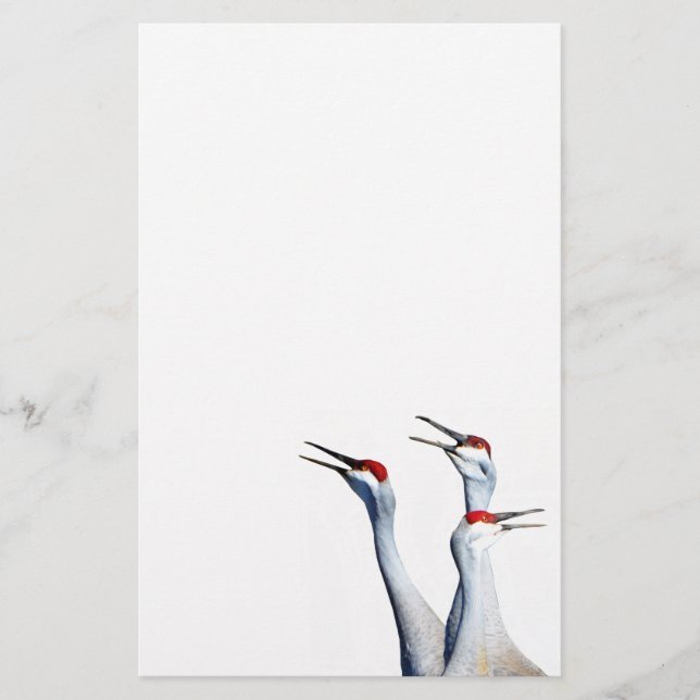 3 Sandhill Cranes Photo Stationery Paper (Front)
