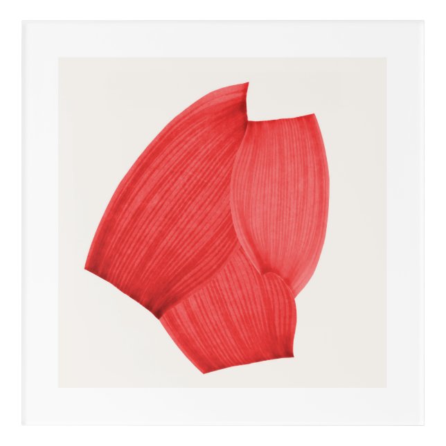 3-shape collage acrylic print (Front)