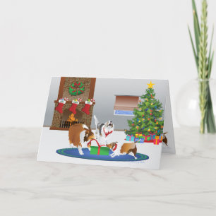 3 Shelties Unwrap A Gift, Folded Holiday Christmas Card
