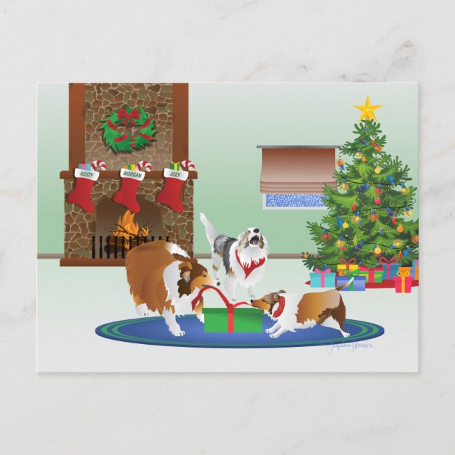 3 Shelties Unwrap Gift, Green, Christmas Holiday Postcard (Front)