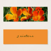 3 sisters bookmark (Front & Back)