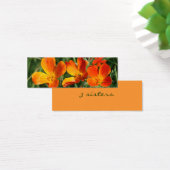 3 sisters bookmark (Desk)