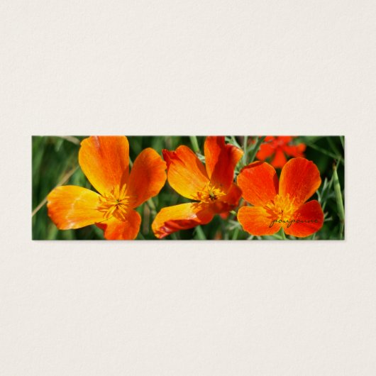 3 sisters bookmark (Front)