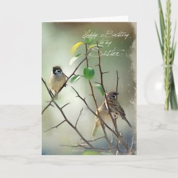3 Song Birds Resting Birthday Card For Your Sister by William63 at Zazzle