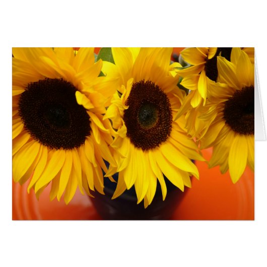 3 sunflowers cards (Front Horizontal)
