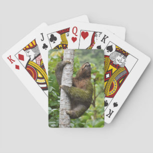 3-Toed Sloth Playing Cards
