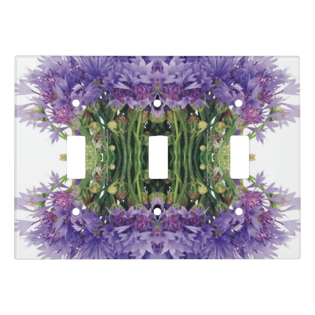 3 toggle switch plates (Front)