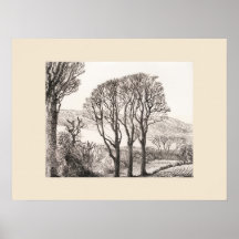 3 Trees Cornwall Print, Eleanor M Hughes Re-Strike