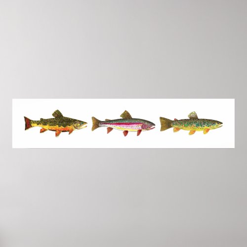 3 Trout _ Brook Brown Rainbow Long Hoirzontal Poster