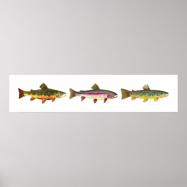 3 Trout - Brook, Brown, Rainbow Long Hoirzontal Poster (Front)