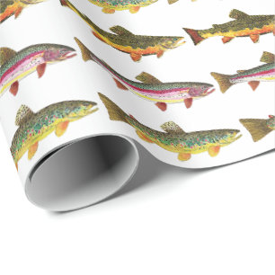 3 Trout Fly Fishing Wrapping Paper