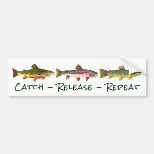 Catch More Trout Eat More Beef Bumper Sticker, Fly Fishing Sticker