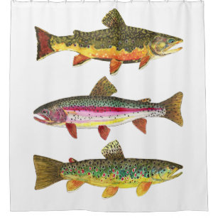 3 Trout for Fly Fishing Fishermen and Fisherwomen Shower Curtain