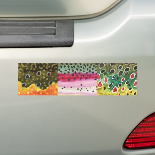 3 Trout Skins Brook, Rainbow, Brown Fly Fishing Bumper Sticker Zazzle