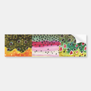 FLY FISHING BUMPER STICKERS Rainbow Brook Brown Trout Bow-Brook-Brown  Decals