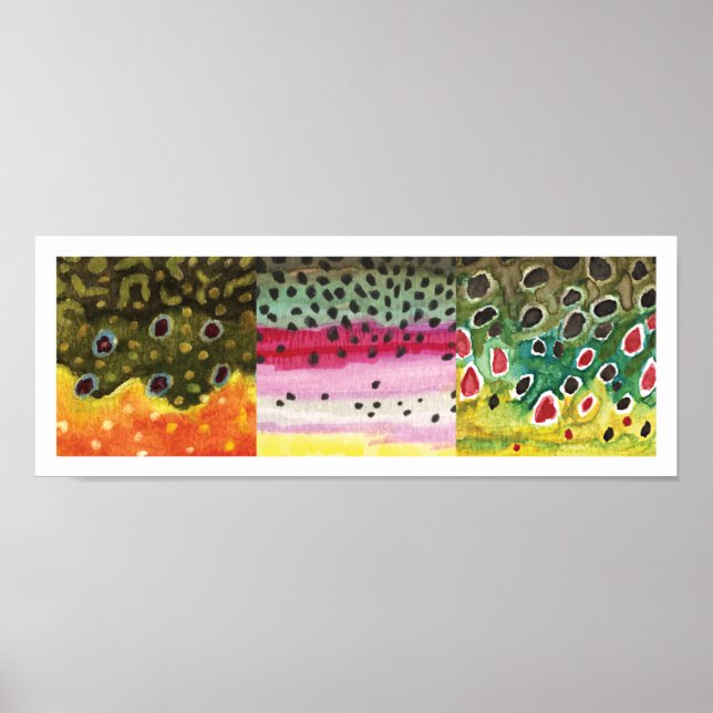 3 Trout Skins: Brook, Rainbow, Brown - Fly Fishing Poster (Front)