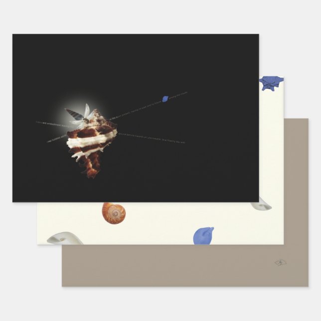 3 unique butterfly seashell beach Christmas Wrapping Paper Sheets (Set)