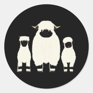 3 Valais Black Nose Sheep in a Row Classic Round Sticker