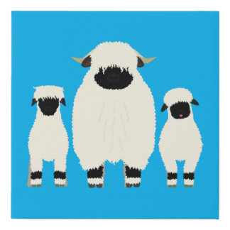 3 Valais Black Nose Sheep in a Row Faux Canvas Print
