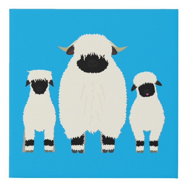 3 Valais Black Nose Sheep in a Row Faux Canvas Print (Front)