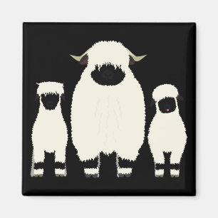 3 Valais Sheep in a row Magnet