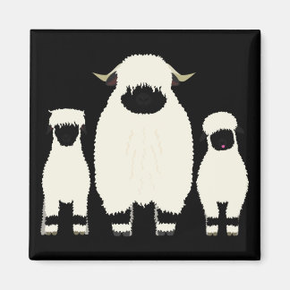 3 Valais Sheep in a row Magnet