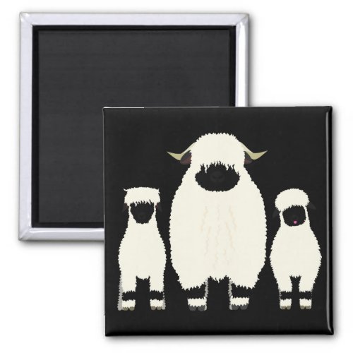 3 Valais Sheep in a row Magnet