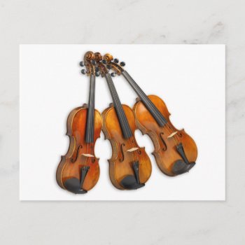3 Violins Postcard by Bubbleprint at Zazzle